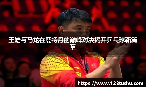 王皓与马龙在鹿特丹的巅峰对决揭开乒乓球新篇章